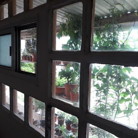 Hostel La Cruz Del Sur La Paloma Extérieur photo