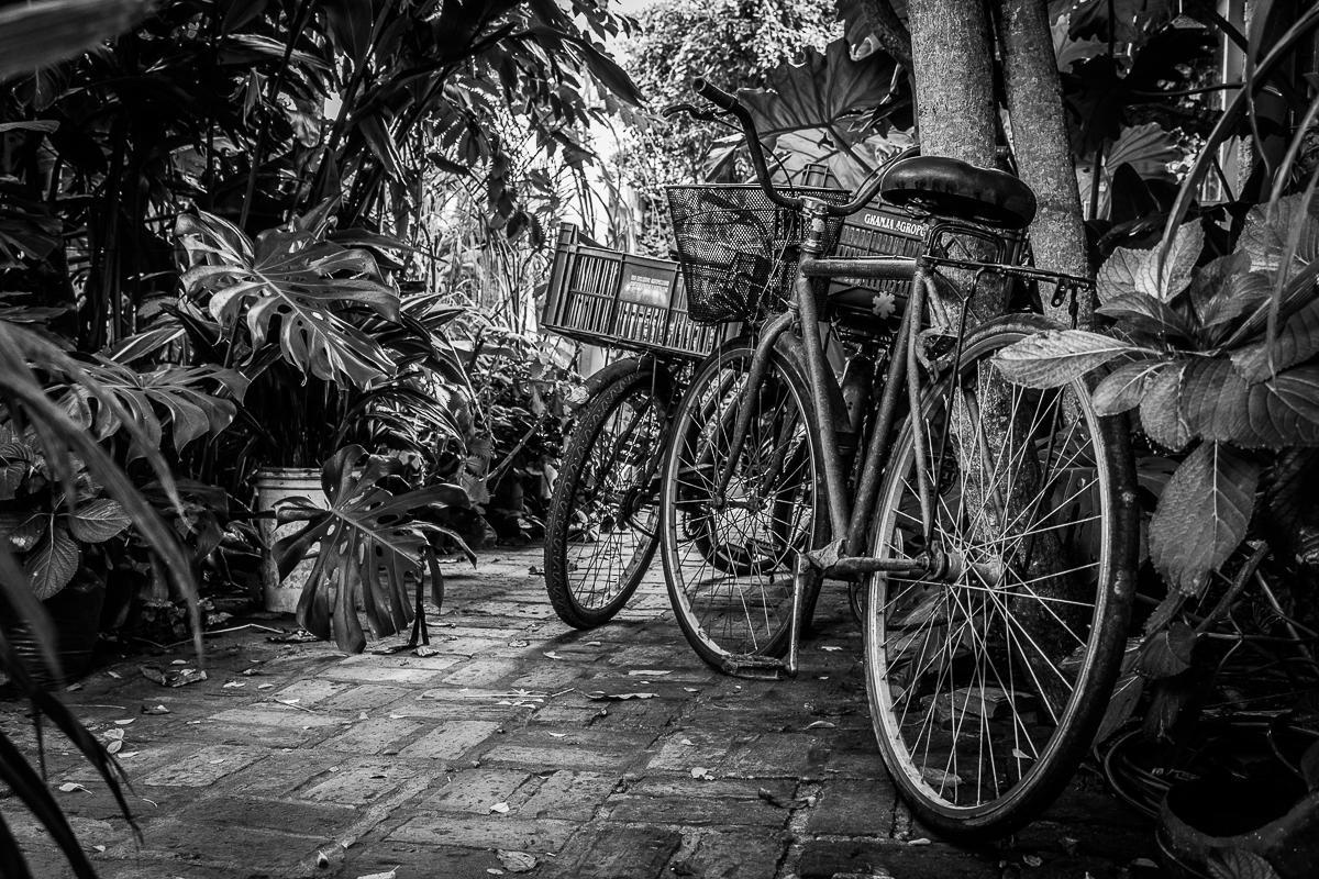 Hostel La Cruz Del Sur La Paloma Extérieur photo