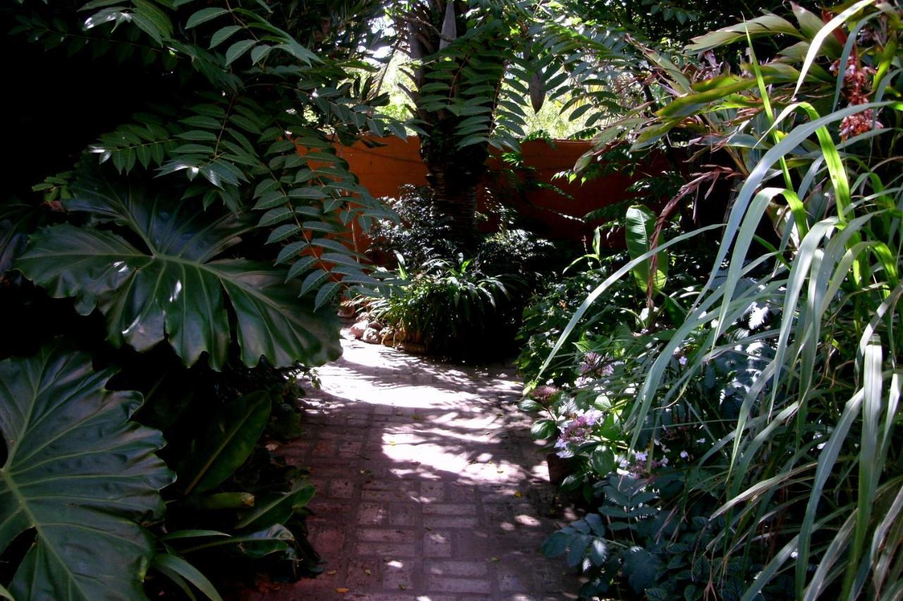Hostel La Cruz Del Sur La Paloma Extérieur photo